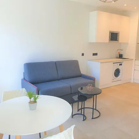 Centre 302 公寓 尼斯